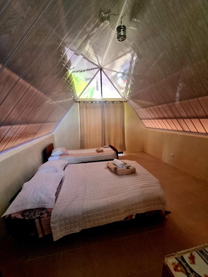 Ballena Oasis Homes & Glamping Uvita Εξωτερικό φωτογραφία