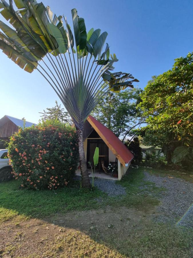 Ballena Oasis Homes & Glamping Uvita Εξωτερικό φωτογραφία
