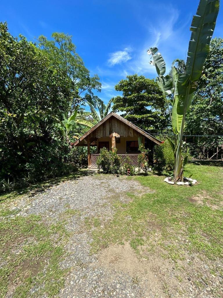 Ballena Oasis Homes & Glamping Uvita Εξωτερικό φωτογραφία