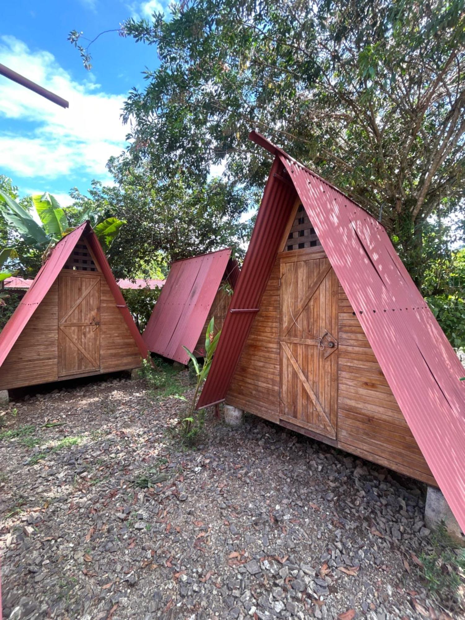 Ballena Oasis Homes & Glamping Uvita Εξωτερικό φωτογραφία