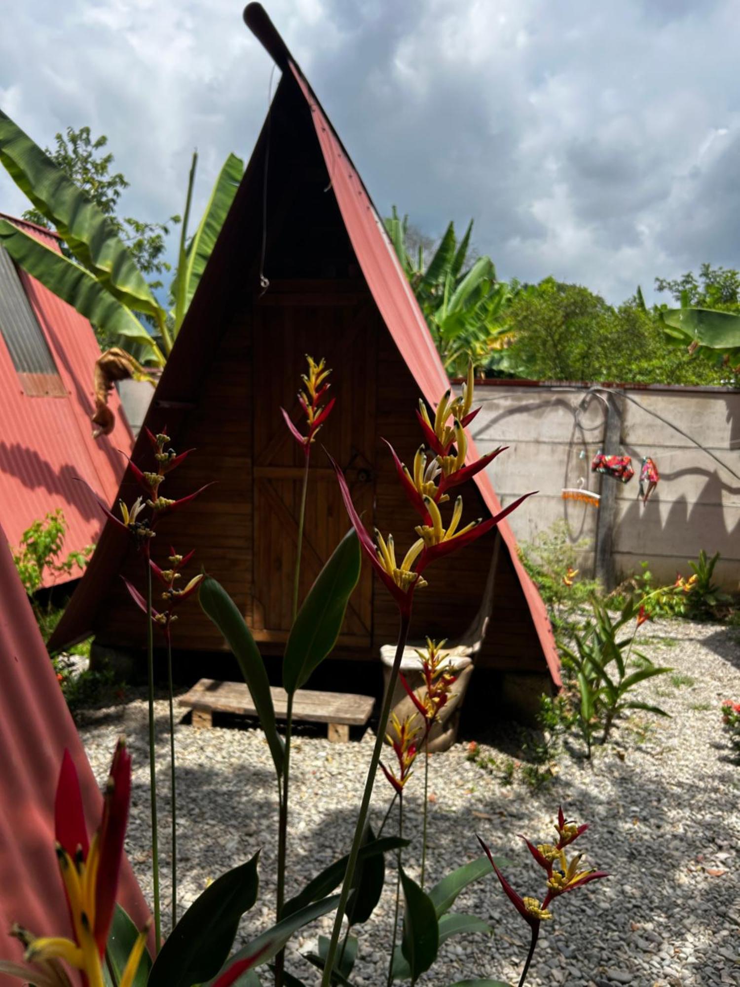 Ballena Oasis Homes & Glamping Uvita Εξωτερικό φωτογραφία